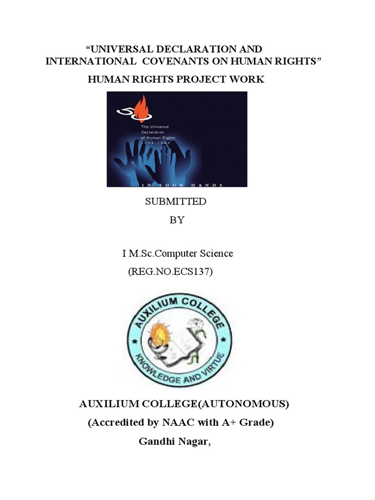 Human Rights Declaration Project | PDF | Art | Computers