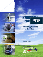 h2 Production Roadmap 2009