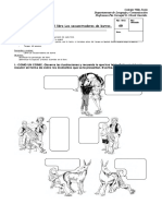 Prueba Del Libro Los Secuestradores de Burros 2019