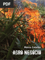 Agro Negócio 