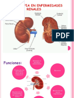 Enfermedades Renales