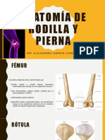 ANATOMÍA DE RODILLA Y PIERNA.pptx