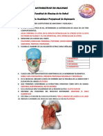 Susti Anatomia