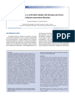 rmn131g PDF