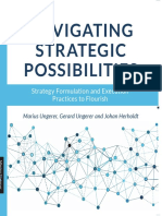 Navigating Strategic Possibilities Ungerer