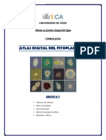 48874116-ATLAS-DEL-FITOPLANCTON.pdf