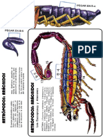 Escorpion.pdf