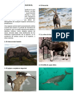 ANIMALES QUE SE EXTINGUE EN EL MUNDO.docx