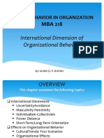 International Organizational Behavior