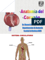 Anatomia de corazón