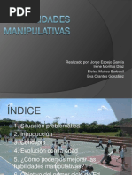 Gta10 Habilidades Manipulativas Power Point