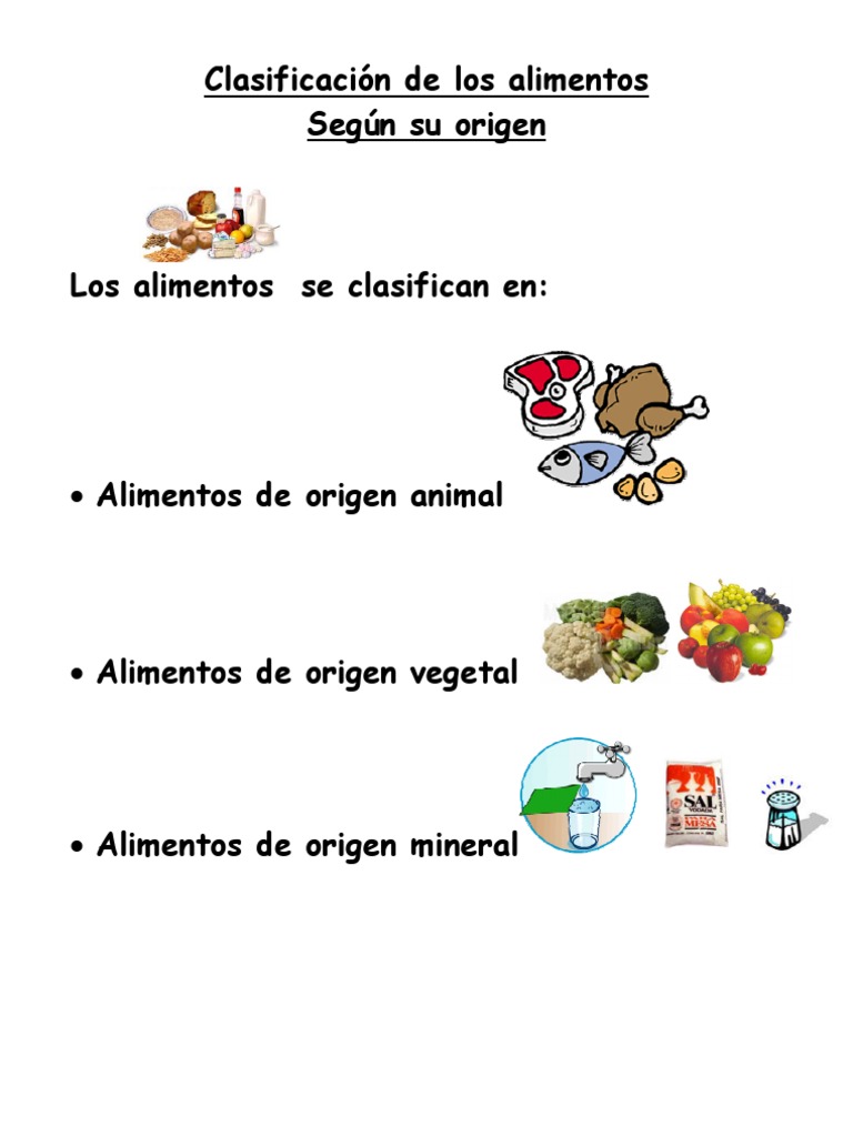 Clasificacion De Los Alimentos Segun Su Origen