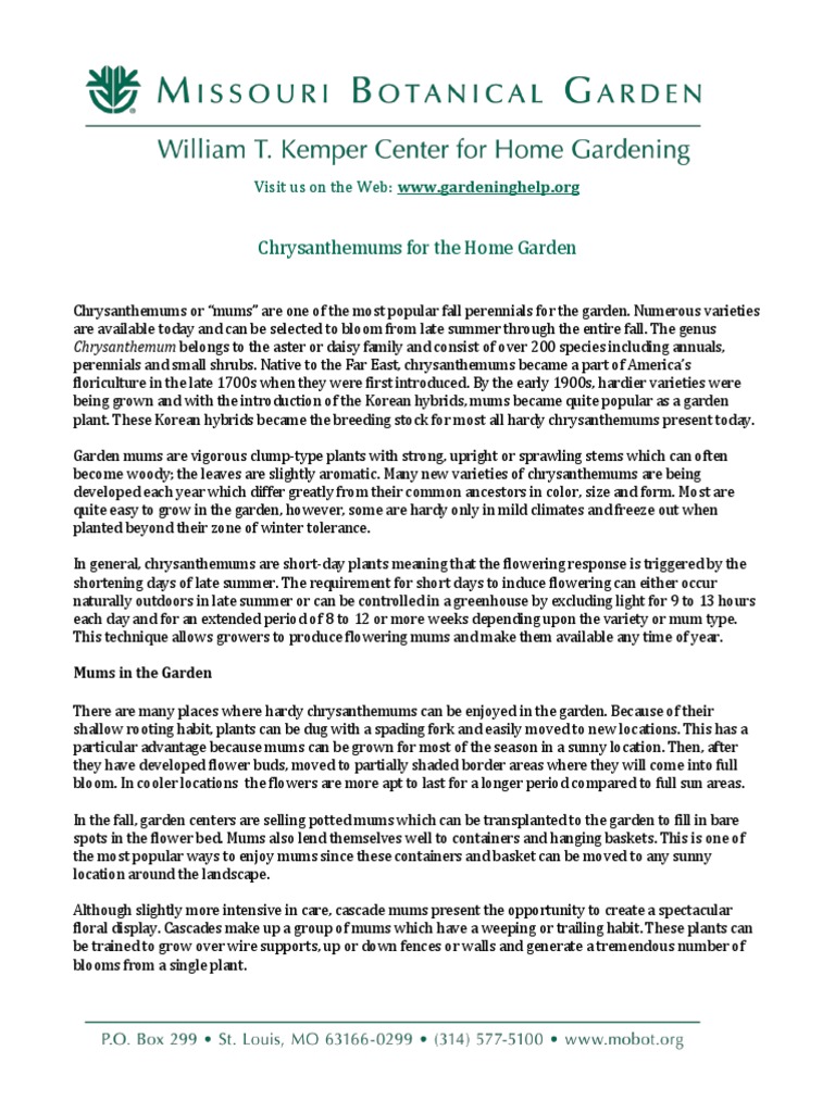 Chrysanthemums Propagation PDF Mulch Soil
