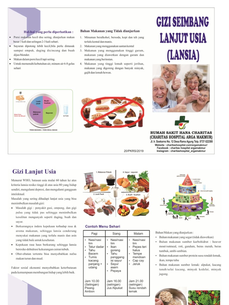 Gizi Lansia | PDF