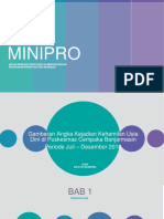 Minipro Fina