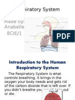 Respiratory System: Made By: Anabelle 8CIE/1