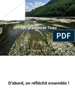 Les Plantes Et L Eau