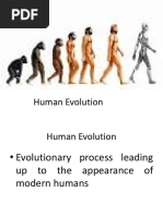 Human Evolution PPT 3