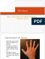 TheHandbig PDF