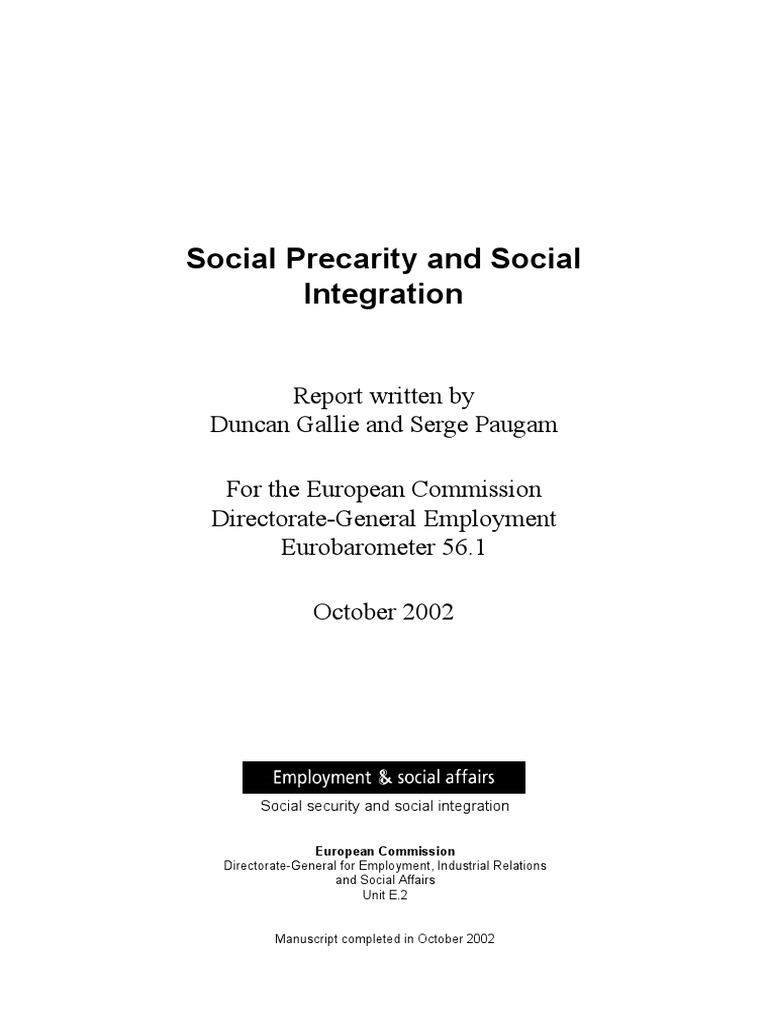 Social Integration | PDF | Occupational Stress | Employment