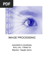 Image Processing: Mentor: Saqib Azim