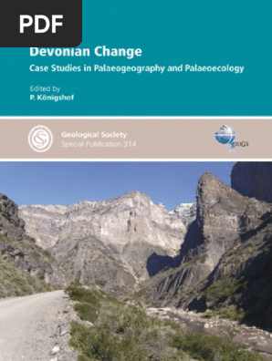 314 Devonian Change Reef Sedimentary Rock