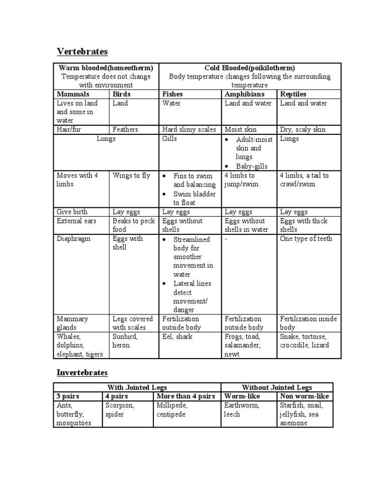 Vertebrates and Invertebrates Comparison Chart | PDF | Egg | Organisms