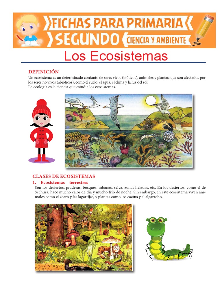Ecosistemas | PDF | Ecosistema | Ecología de sistemas