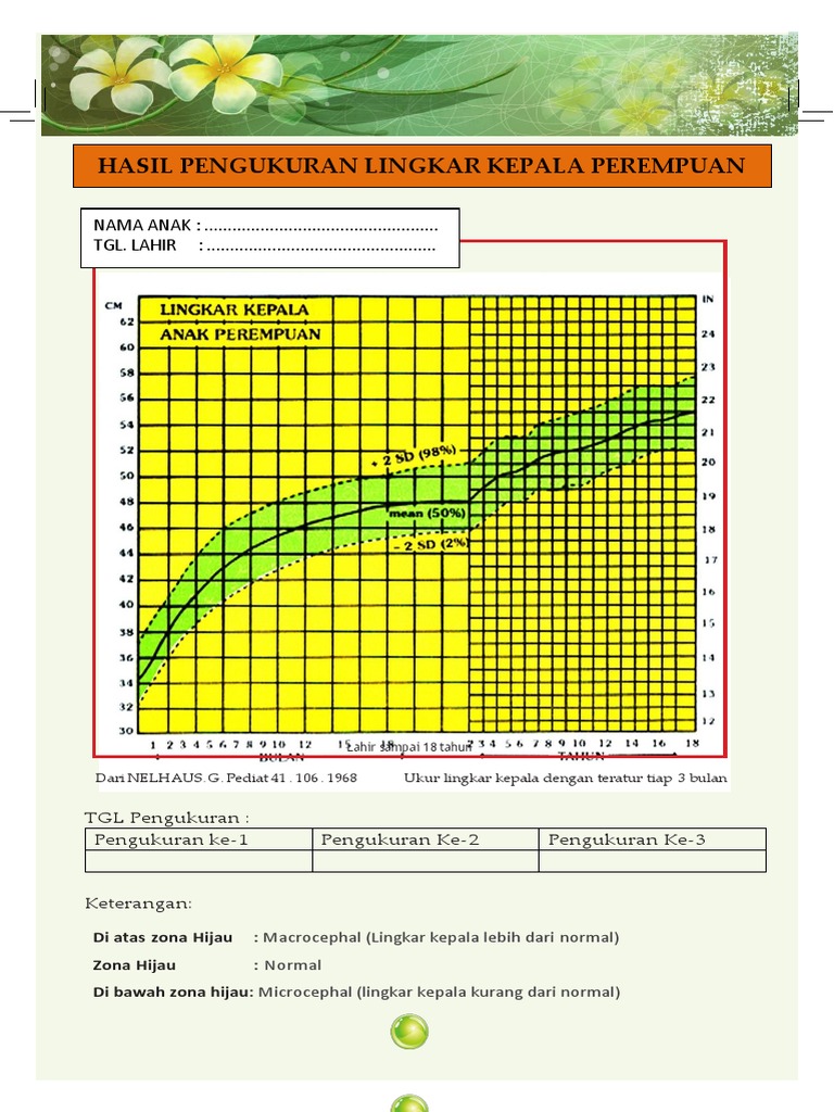 Format Grafik Lingkar Kepala | PDF