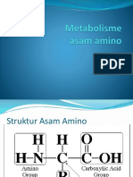 Metabolisme ASAM AMINO