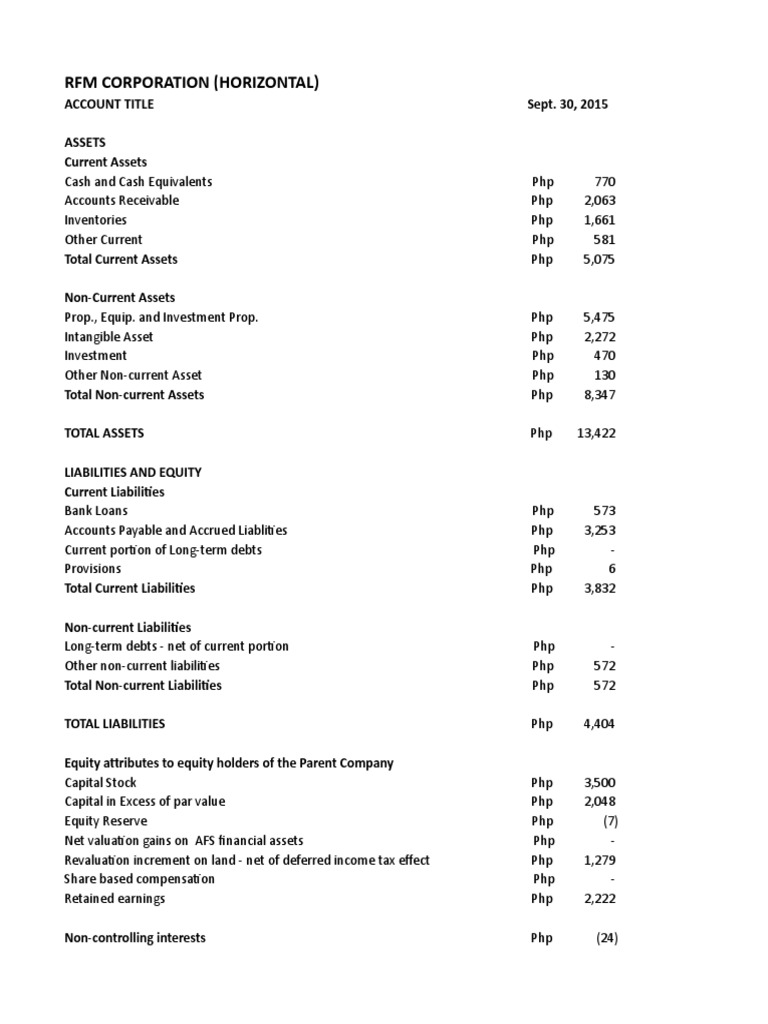 RFM Corporation Financial Overview 2015 | PDF | Equity (Finance ...