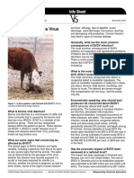 Bovine Viral Diarrhea Virus: Veterinary Services