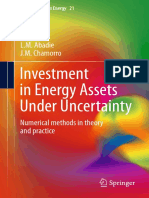 Abadie13 InvestmentEnergyAssetsUncertainty