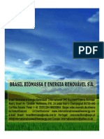 8270379-Brasil-Biomassa-e-Energia-Renovavel.pdf