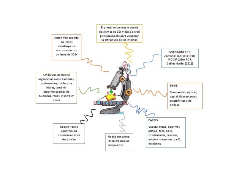 Arriba 30+ imagen mapa mental de microscopio