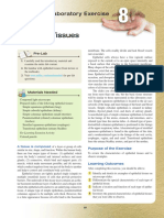 Epithelial Tissues Lab Exercise