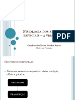 Aula 07 - Fisiologia Dos Sentidos Especiais - A Visão I e II