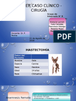 Mastectomia 2 Grupo 8 (Yes)