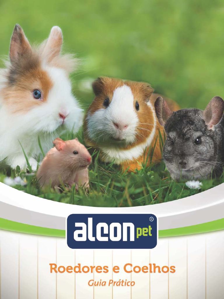 Guia Roedores PDF | PDF | Porquinho-da-índia | Coelho, image size:768x1024