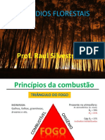 Aula 1_Princípios Da Combustão