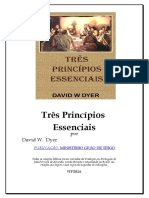 Tres_Principios.doc