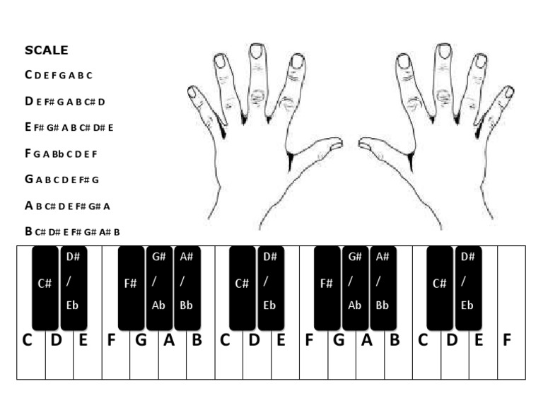 Piano Scale Guide by Fanyu Zeng | PDF