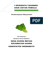 Panduan Berhdiroponik Untuk Pemula