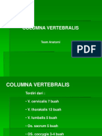 Columna Vertebralis (Musculosceletal)