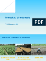 Tembakau Di Indonesia: PT. HM Sampoerna 2018