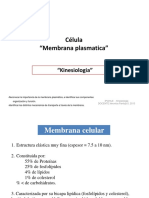 membrana plasmatica