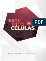 Estudio 18