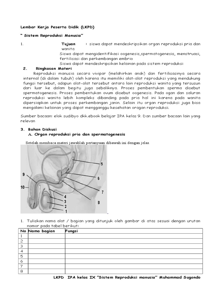 Sistem Reproduksi Manusia Kelas 9 Kurikulum 2013 Pdf
