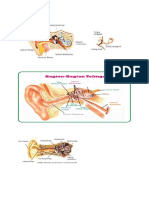 Alat Pendengar