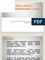 Enzym Laktat Dehidrogenase